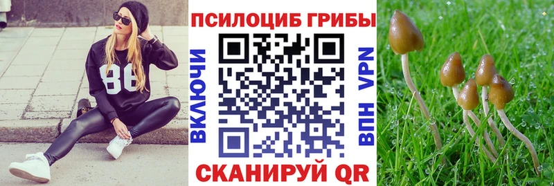 Галлюциногенные грибы Psilocybine cubensis  даркнет Telegram  Астрахань 